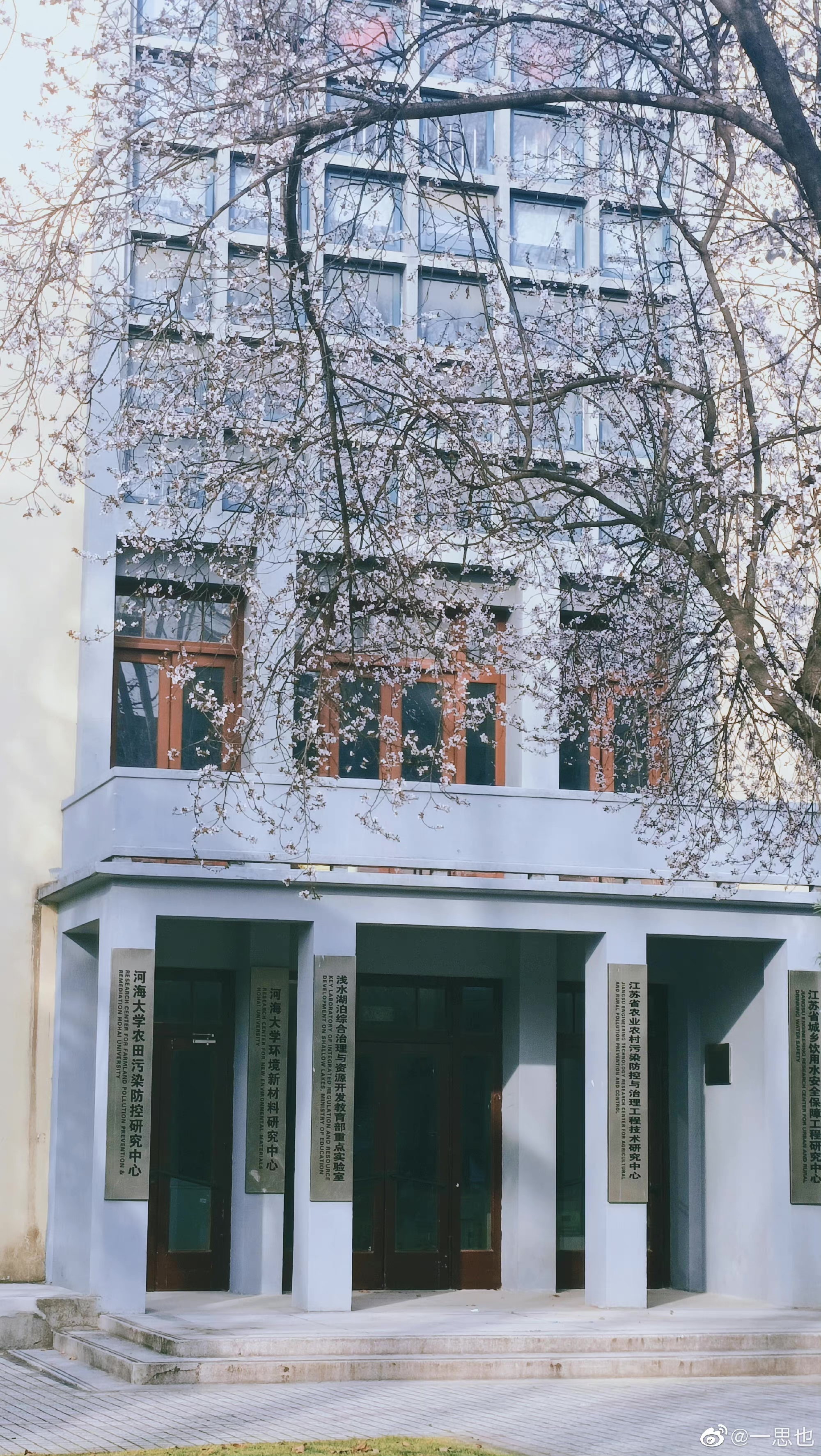 图源:网友@一思也 图源:网友@一思也